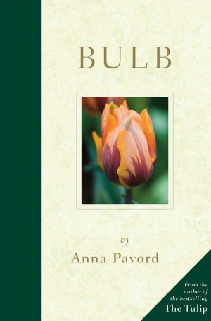 Bulb