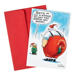 Dimples The Missing Elf Christmas Boxed Card