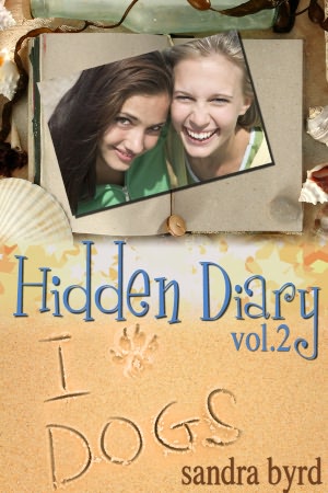 Hidden Diary: Volume Two