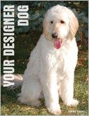 Your Designer Dog