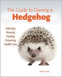 The Guide to Owning a Hedgehog