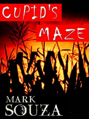 Cupid's Maze
