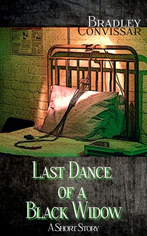 Last Dance of a Black Widow