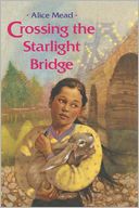 Crossing The Starlight Bridge