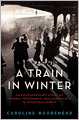 A Train in Winter