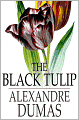 The Black Tulip