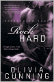 Rock Hard (Sinners on Tour Series #2)