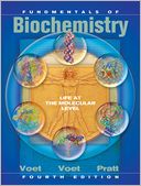 download Fundamentals of Biochemistry : Life at the Molecular Level book