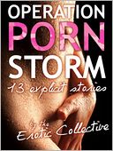 Operation Porn Storm