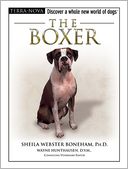 The Boxer