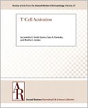 T Cell Activation