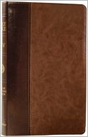 ESV Verse-by-Verse Reference Bible (TruTone, Brown/Cordovan, Portfolio Design)