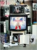 Inside Bjork