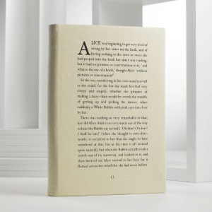 Alice Cover in Paper