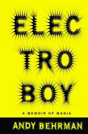 Electroboy: A Memoir of Mania