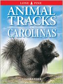 Animal Tracks of the Carolinas