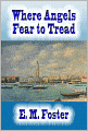 Where Angels Fear to Tread