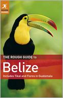 download The Rough Guide to Belize book