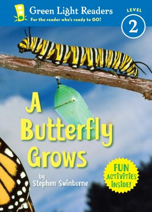 Butterfly Grows