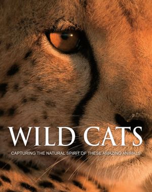 Wild World - Wild Cats