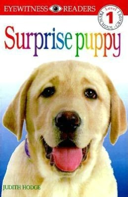 Surprise Puppy (DK Readers Series Level 1)