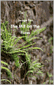 The Mill on the Floss