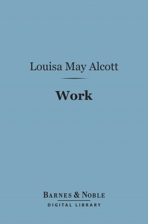 Work (Barnes & Noble Digital Library): A Story of Experience