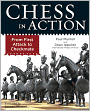 Chess in Action: From First Attack to Checkmate (PagePerfect NOOK Book)