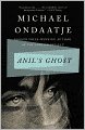 Anil's Ghost