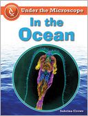 In the Ocean