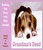 Grandma's Dead: Breaking Bad News with Baby Animals