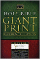 The King James Study Bible