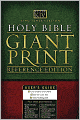 The King James Study Bible