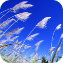 Nature Wallpapers 2 (64 Amazing Nature Wallpapers)