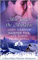Men Under the Mistletoe: Lone Star The Christmas Proposition My True Love Gave to Me Winter Knights