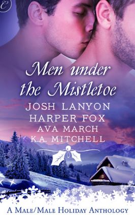 Men Under the Mistletoe: Lone Star The Christmas Proposition My True Love Gave to Me Winter Knights