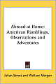 Abroad at Home: American Ramblings, Observations and Adventures