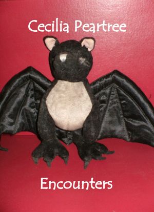 Encounters
