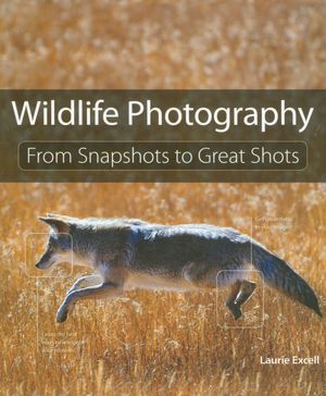 Wildlife Photography: From Snapshots to Great Shots