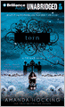 Torn (Trylle Trilogy #2)
