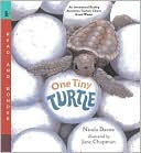 One Tiny Turtle (Read and Wonder Series)