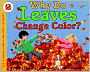 Why Do Leaves Change Color?