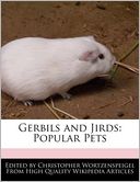 Gerbils And Jirds