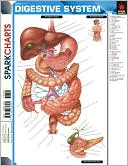 download Digestive System (SparkCharts) book