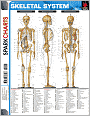 Skeletal System (SparkCharts)