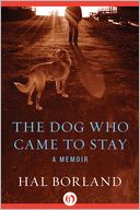The Dog Who Came to Stay by Hal Borland: NOOK Book Cover