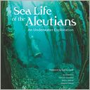 Sea Life of the Aleutians: An Underwater Exploration