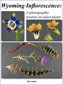 Wyoming Inflorescence
