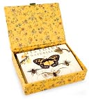 Bee Glass Top Boxed Note Card Set of 12 by Fringe: Product Image