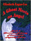 A Ghost Meets an Angel [Shannon Delaney Paranormal Mystery Series, Vol. 3]